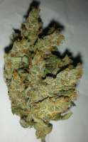 Picture from wasgedn (Sour Diesel)