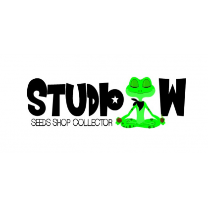 Studio.W Seeds Shop